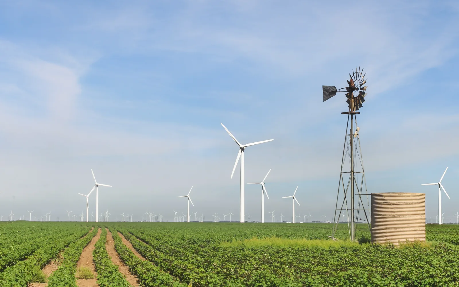 Wind turbines across rolling landscape with traditional windmill